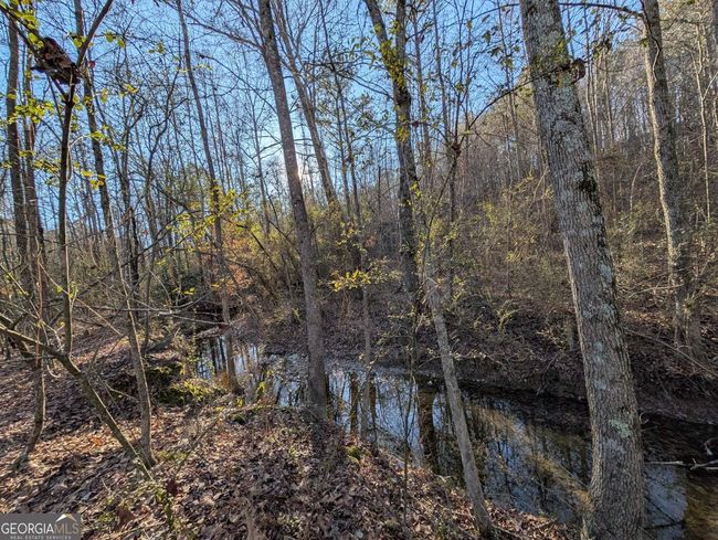 0 Ridgeway Rd, Home with 0 bedrooms, 0 bathrooms and null parking in Trion GA | Image 20