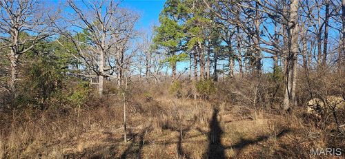 0 County Road 4160, Salem, MO, 65560 | Card Image