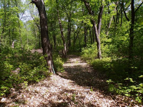 0000 State Highway 29 N, Alexandria, MN, 56308 | Card Image