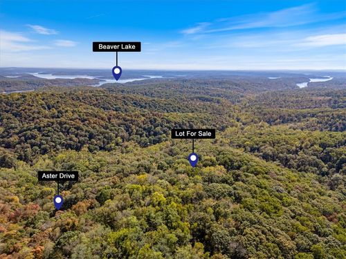 Lot 262 Aster Dr, Rogers, AR, 72756 | Card Image
