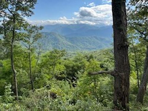 Lot 30 Hickory Cove Rd, Bryson City, NC, 28713-6037 | Card Image
