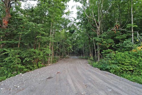 1888 Moneymore Rd, Roslin, ON, K0K2Y0 | Card Image