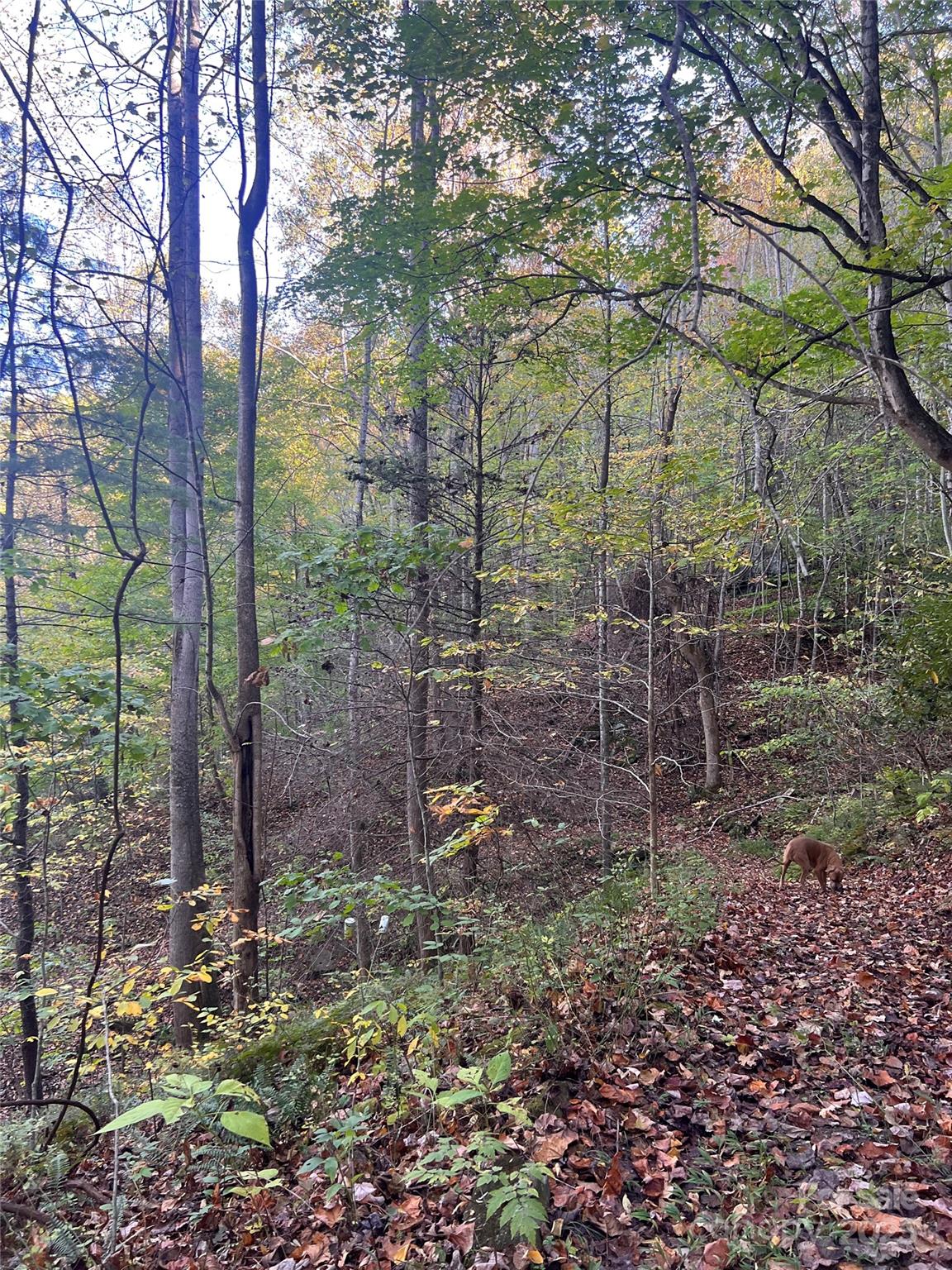 Land in Hot Springs 2