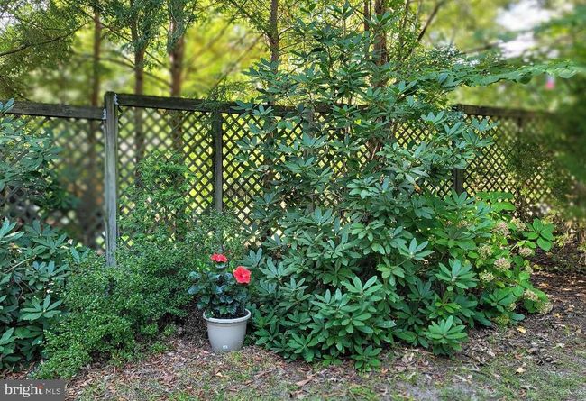 609 Twin Tree Rd, House other with 4 bedrooms, 2 bathrooms and null parking in SALISBURY MD | Image 38