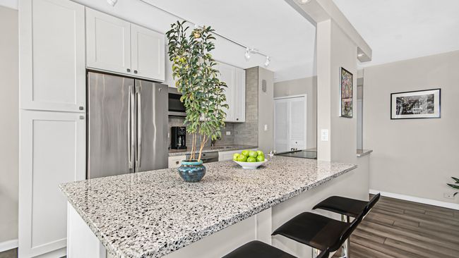 APT-17N - 3420 N Lake Shore Dr, Condo with 2 bedrooms, 2 bathrooms and 1 parking in CHICAGO IL | Image 7