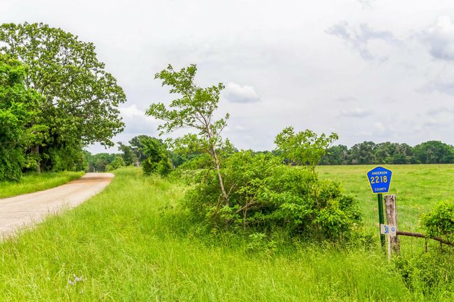 0 Fm 645, Home with 0 bedrooms, 0 bathrooms and null parking in Tennessee Colony TX | Image 5