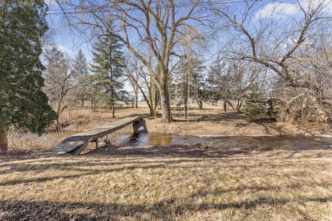 Additional view of the large back yard showing all the trees and privacy. | Image 26