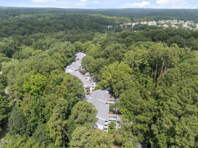 31-web-or-mls-DJI_20250711110735_0947_D | Image 35