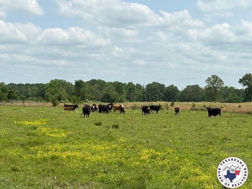 TBD Us Highway 82 W, De Kalb, TX, 75559 | Card Image