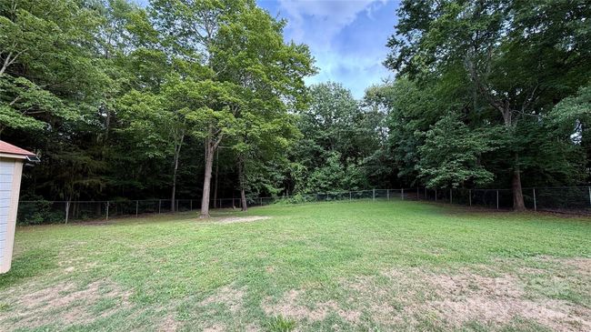 Massive yard | Image 34
