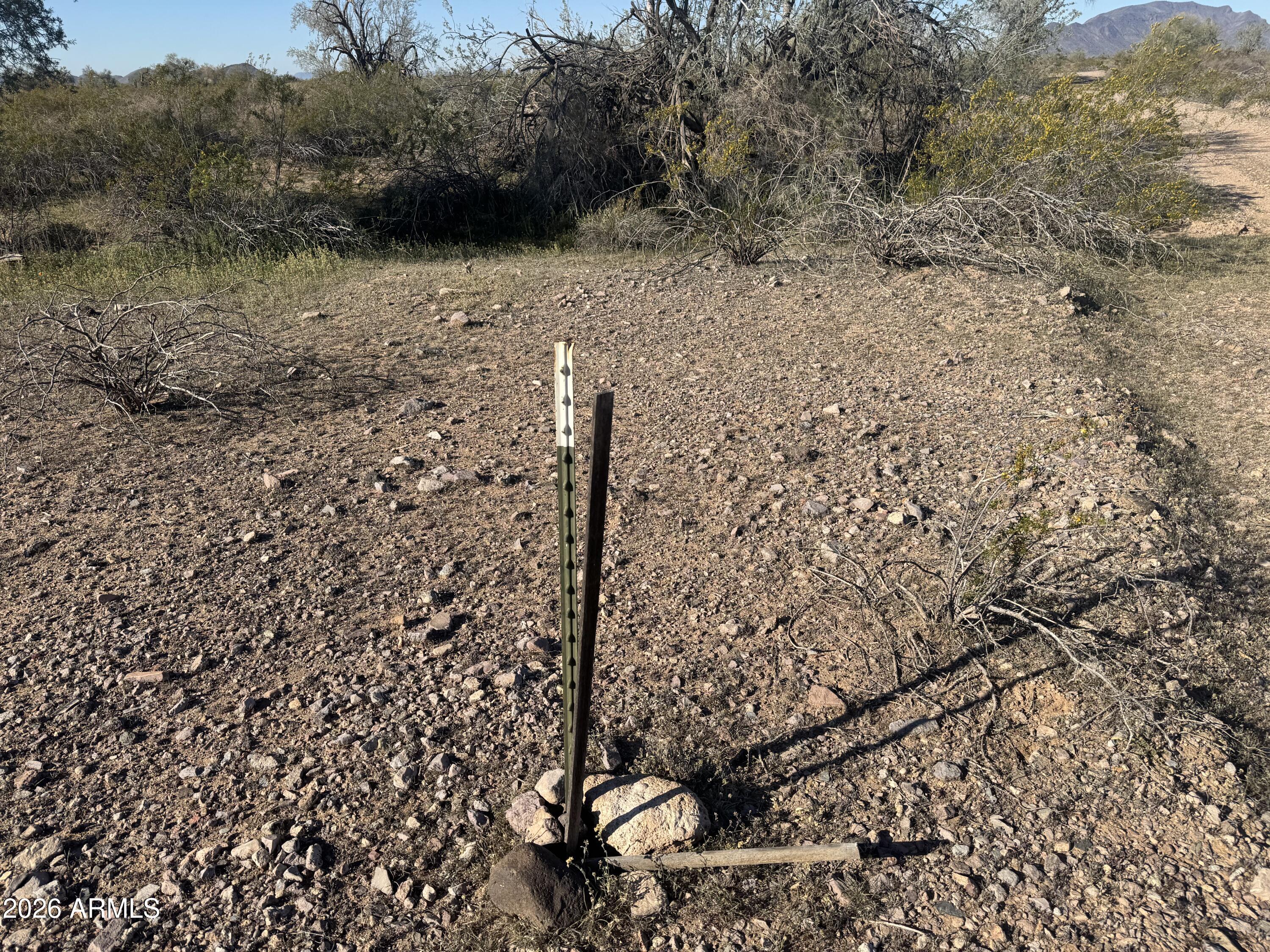 Land in Tonopah 2