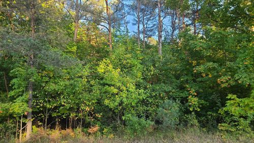 0000 Sperry Road, Springfield Township, MI, 49646 | Card Image