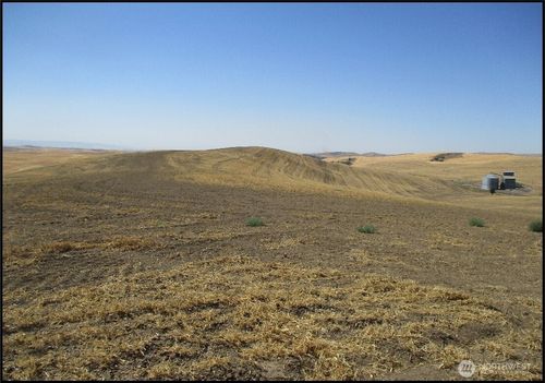 834 Mckay Alto Rd, Dayton, WA, 99328 | Card Image