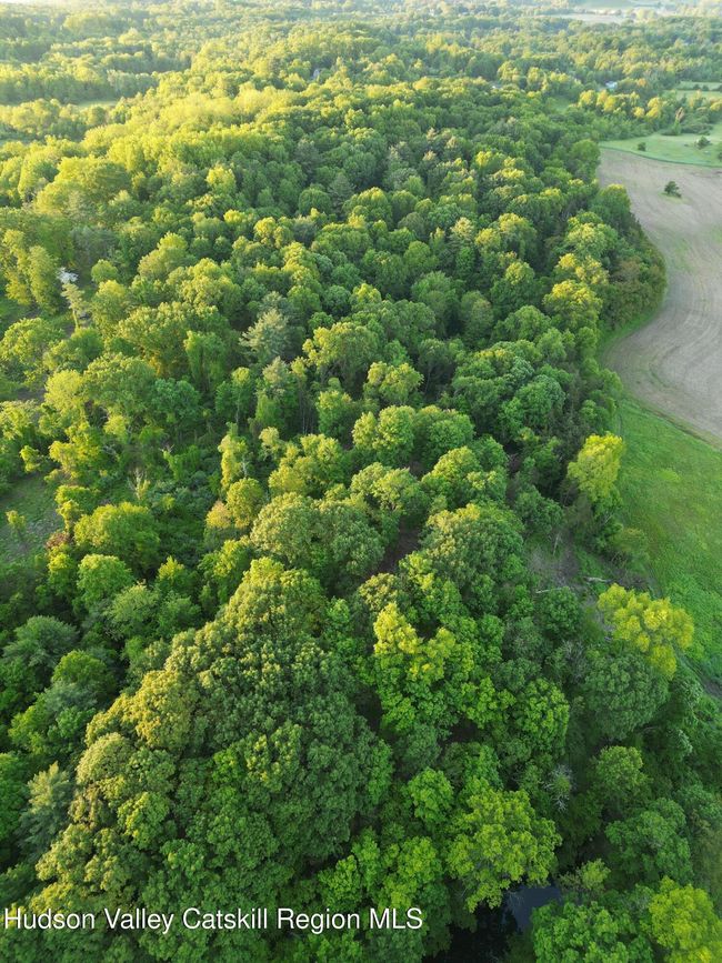 3 County Route 6, Home with 0 bedrooms, 0 bathrooms and null parking in Germantown NY | Image 8