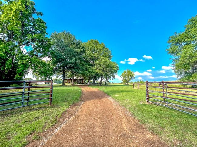 6861 County Road 4710, House other with 4 bedrooms, 2 bathrooms and null parking in Larue TX | Image 4