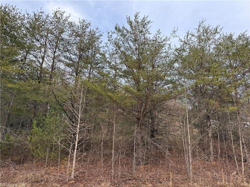 TBD Mount Zion Rd, Ferguson, NC, 28624 | Card Image