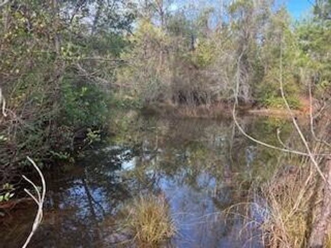 3365 Columbia Hwy N, Home with 0 bedrooms, 0 bathrooms and null parking in Ridge Spring SC | Image 8