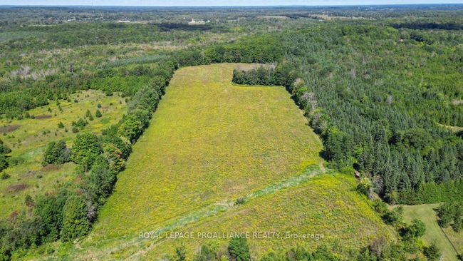 128 Boundary Rd, Home with 0 bedrooms, 0 bathrooms and 1 parking in Roslin ON | Image 19