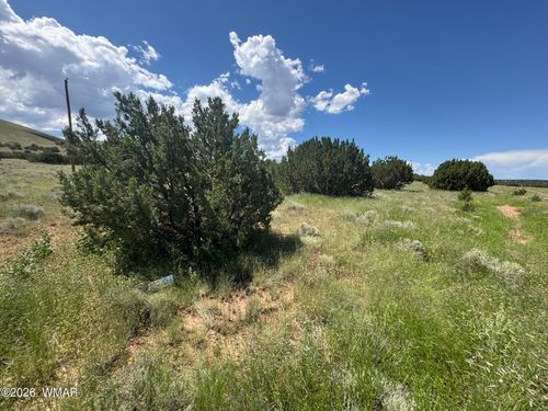 103 County Road 5202, Concho, AZ, 85924 | Card Image