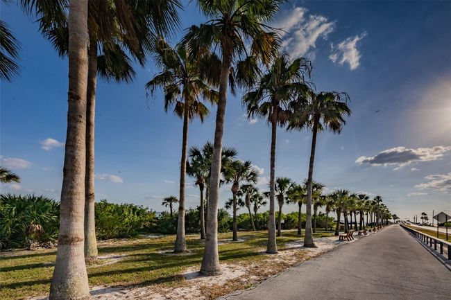 Dunedin Causeway | Image 66