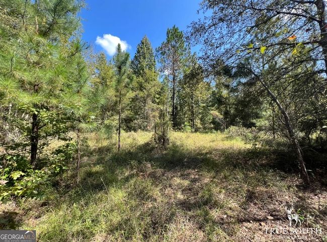 0 John S Horton Rd, Home with 0 bedrooms, 0 bathrooms and null parking in Adrian GA | Image 12