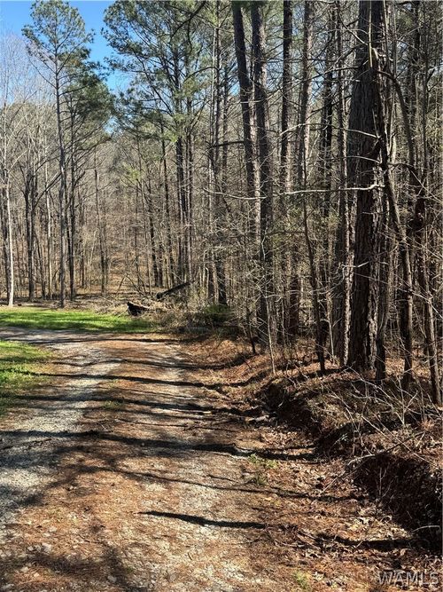 00 Christina Dr, Mc Calla, AL, 35111 | Card Image
