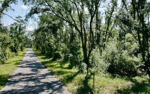 TBD 116th St, Live Oak, FL, 32060 | Card Image