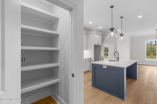 27-web-or-mls-202 Lizzy-28 | Image 24