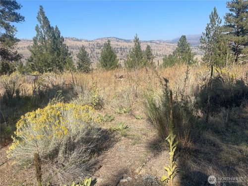 0 TBD Reevas Basin Rd, Tonasket, WA, 98855 | Card Image