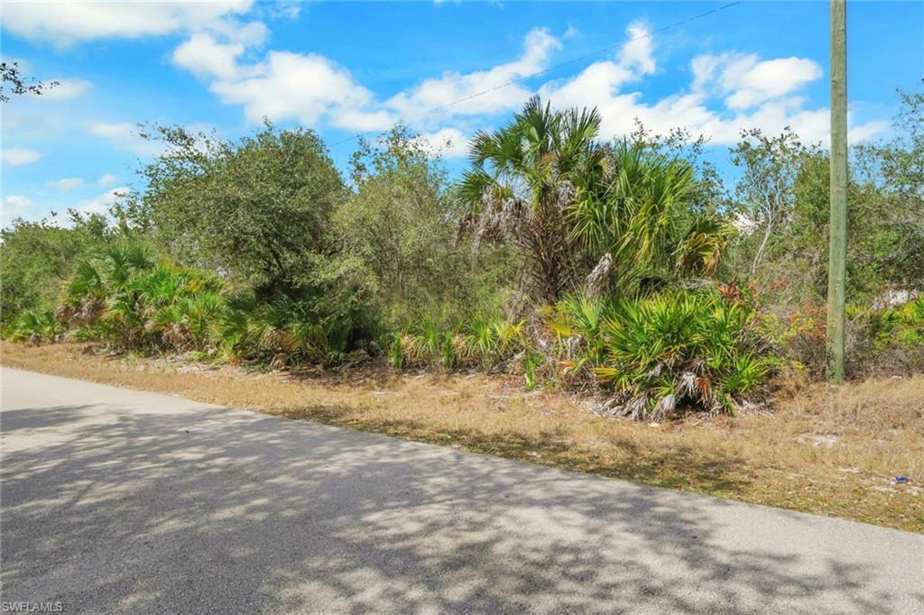 Land in LEHIGH ACRES 4