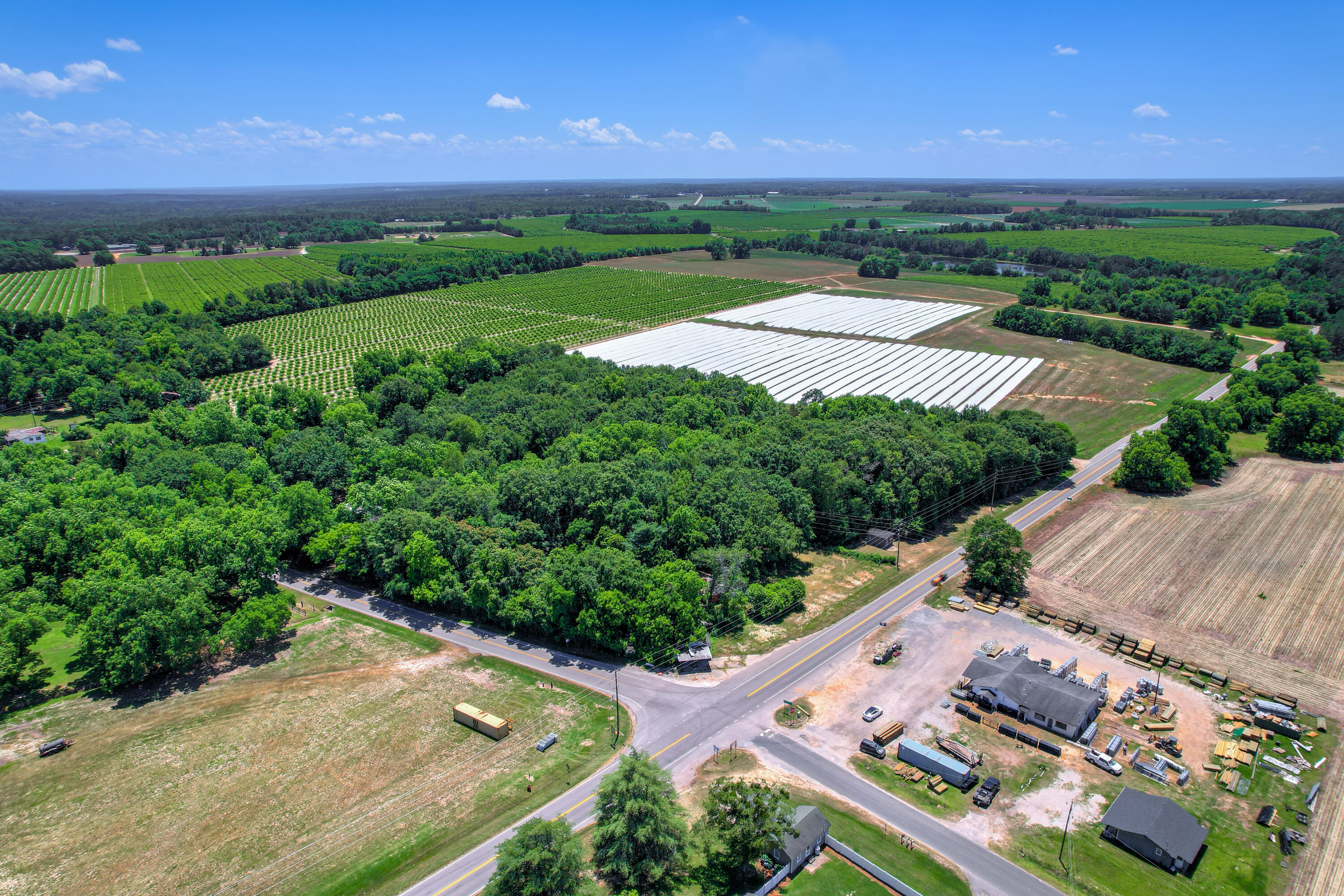 Commercial Sale in Monetta 4