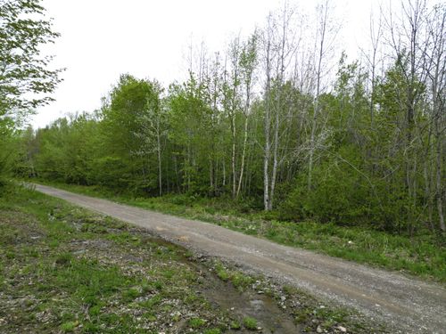28 Rosewood Haven, Prentiss Twp T7 R3 NBPP, ME, 04487 | Card Image