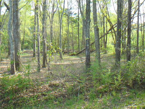 1019 Jones Drive, Anderson, SC, 29626 | Card Image