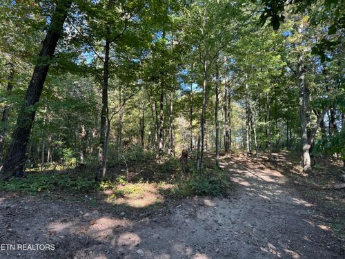 5002 Indian Ridge Rd, Blaine, TN, 37709-5801 | Card Image