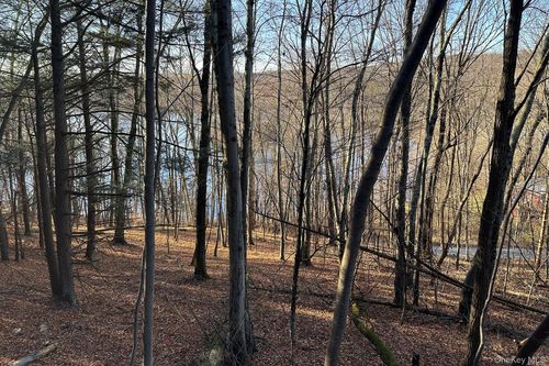 65 Patricia Ln, Clinton Corners, NY, 12514-2338 | Card Image