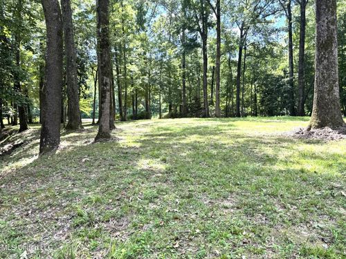46 Fairway Dr, Natchez, MS, 39120-9590 | Card Image