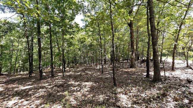 492 Deer Creek Rd, Home with 0 bedrooms, 0 bathrooms and null parking in Kansas OK | Image 6