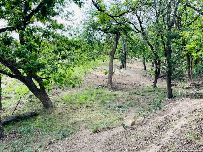 View of nature with a wooded view | Image 16
