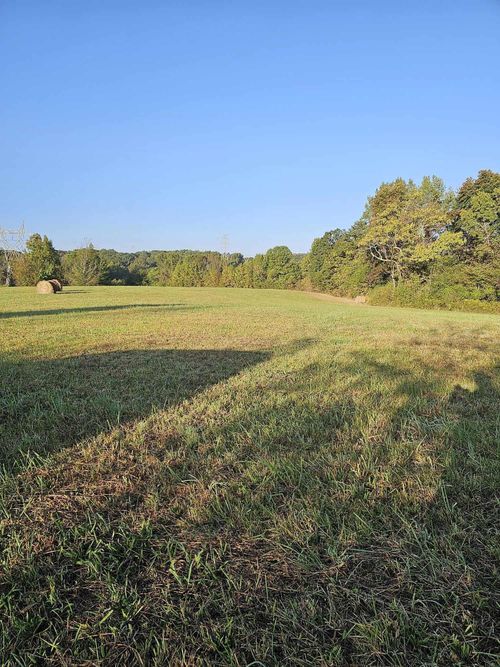 0 County Road 93, Bryant, AL, 35958 | Card Image