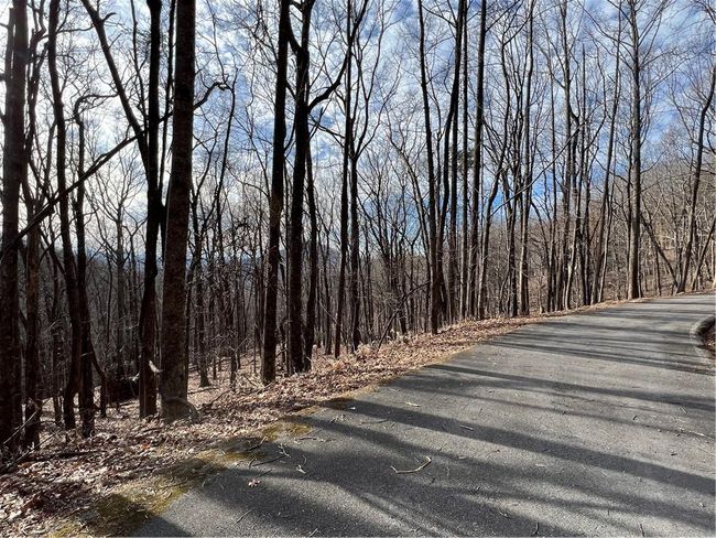 4528 Sassafras Mountain Trl, Home with 0 bedrooms, 0 bathrooms and null parking in Jasper GA | Image 10
