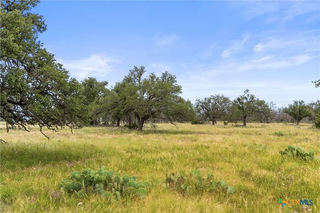 3049 Reservation Rd, Home with 0 bedrooms, 0 bathrooms and null parking in Harper TX | Image 23