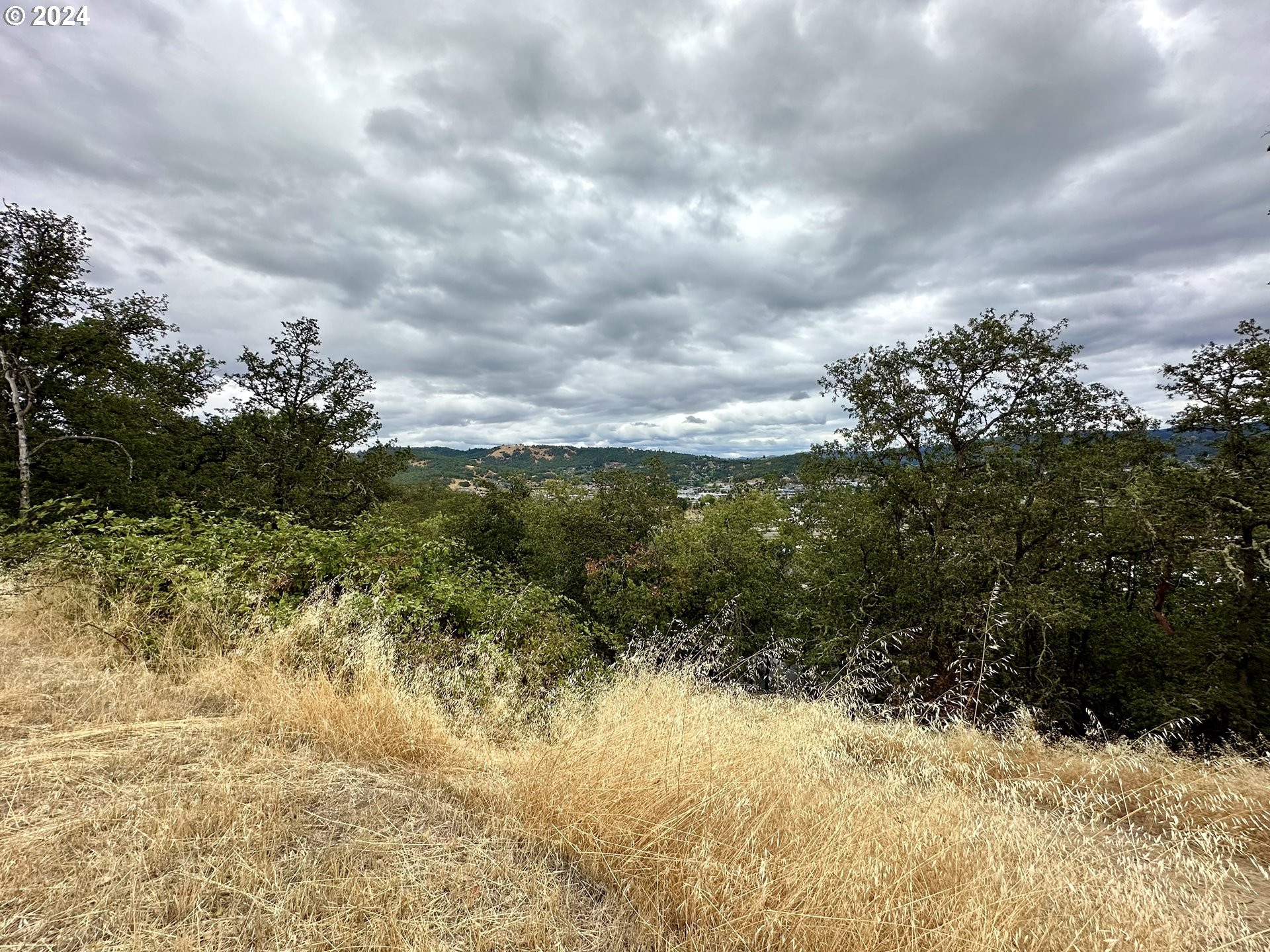 Land in Roseburg 5
