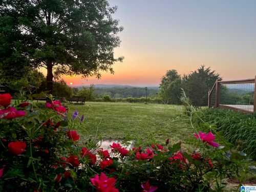 3953 Logan Martin Dam Road, Cropwell, AL, 35054 | Card Image