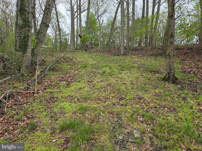 0 W Clearview Dr, Home with 0 bedrooms, 0 bathrooms and null parking in GLEN ROCK PA | Image 25