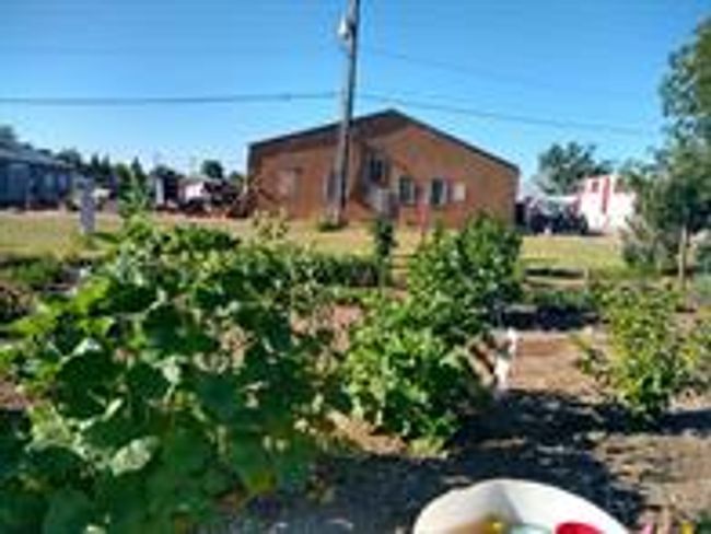 View of yard | Image 20