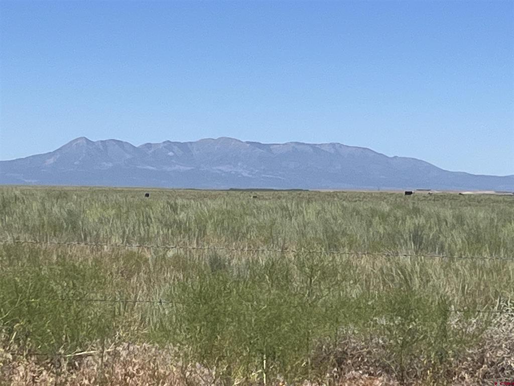 Land in Dove Creek 2