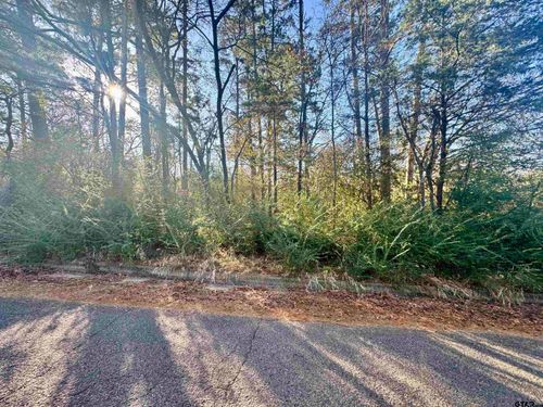 5785 Ramblewood Ln, Whitehouse, TX, 75791-9228 | Card Image