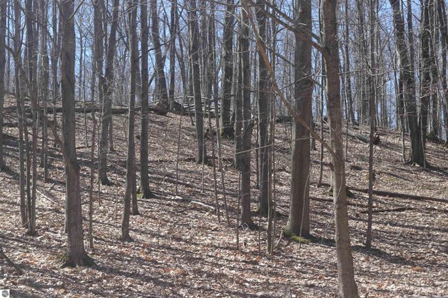 lot 22 Crystal Ridge Dr, Home with 0 bedrooms, 0 bathrooms and null parking in Beulah MI | Image 7