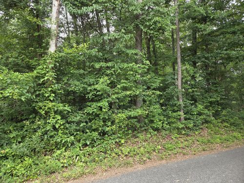 0 Co Rd 156, Riceville, TN, 37370 | Card Image