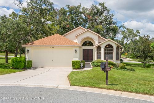 11255 Copley Ct, SPRING HILL, FL, 34609-9671 | Card Image